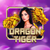 Dragon Tiger jili games apk live casino